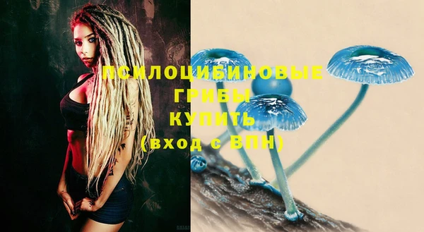 МДПВ Карталы