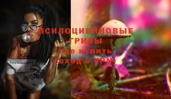 прущие крисы Касимов